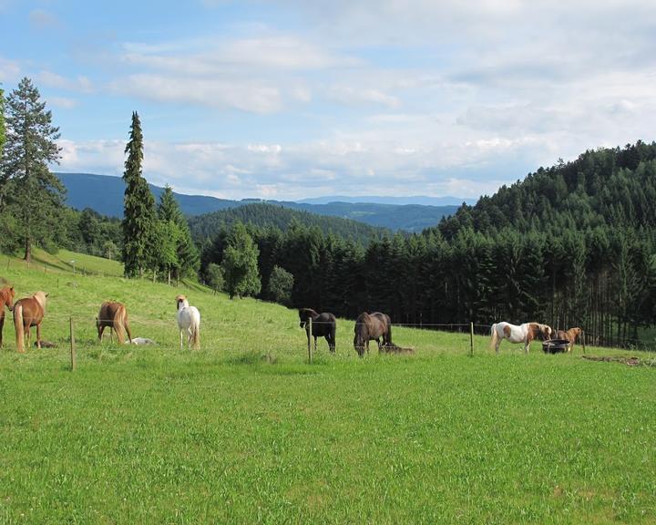 Vogt Auf Muhlstein Gaststaette